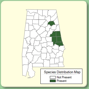 Species Distribution Map