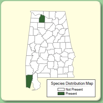 Species Distribution Map