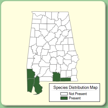 Species Distribution Map