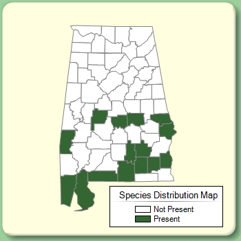 Species Distribution Map