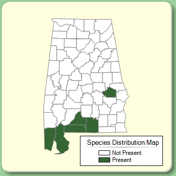 Species Distribution Map