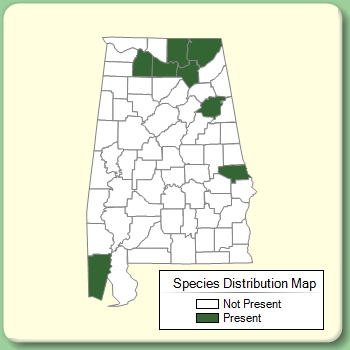 Species Distribution Map