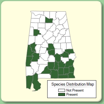 Species Distribution Map