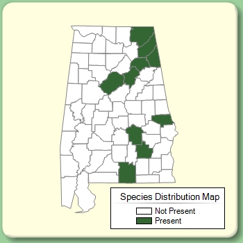 Species Distribution Map