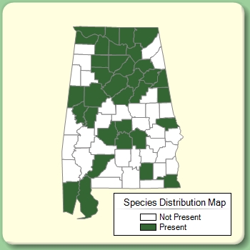 Species Distribution Map