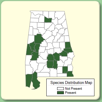 Species Distribution Map