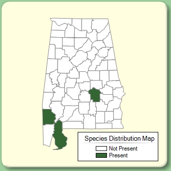 Species Distribution Map