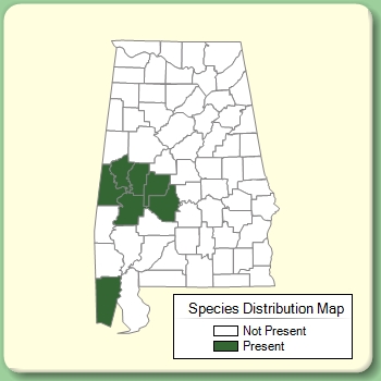 Species Distribution Map