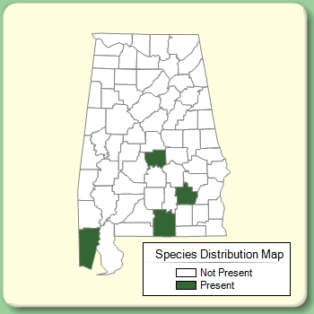 Species Distribution Map