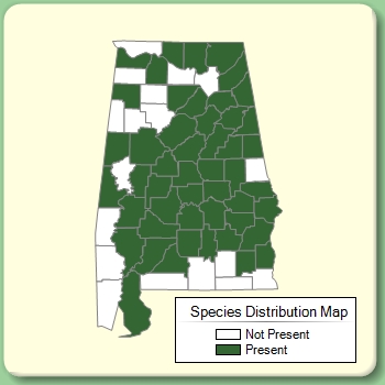 Species Distribution Map