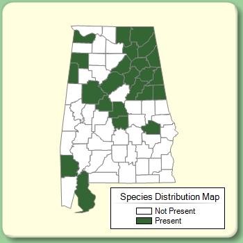 Species Distribution Map