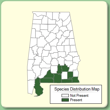 Species Distribution Map