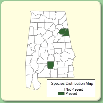 Species Distribution Map