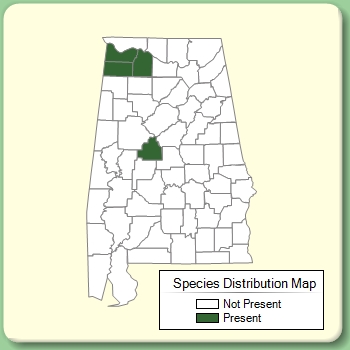 Species Distribution Map