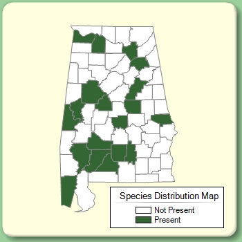 Species Distribution Map