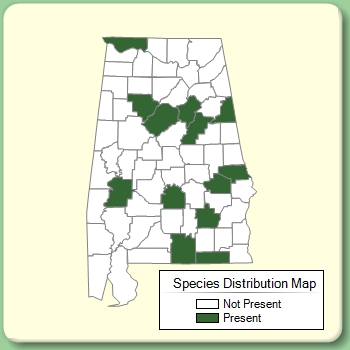 Species Distribution Map