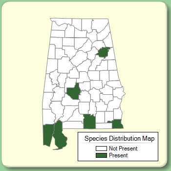 Species Distribution Map