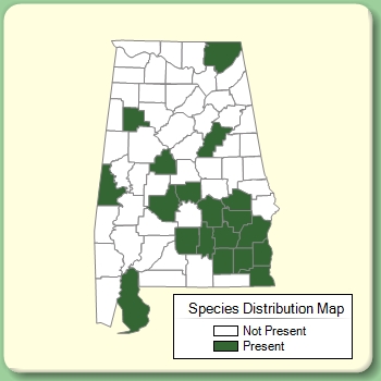 Species Distribution Map