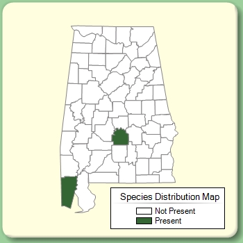 Species Distribution Map