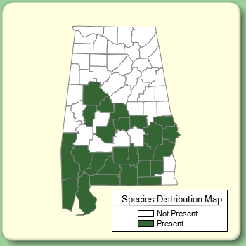 Species Distribution Map