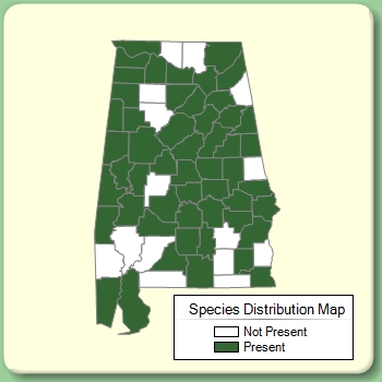 Species Distribution Map