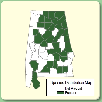 Species Distribution Map