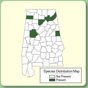 Species Distribution Map