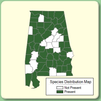 Species Distribution Map