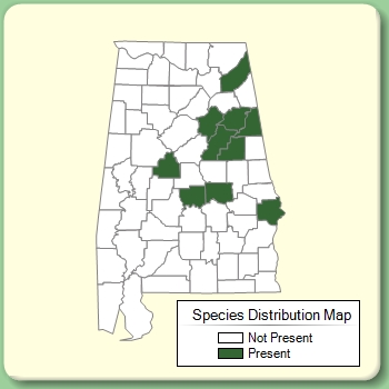 Species Distribution Map