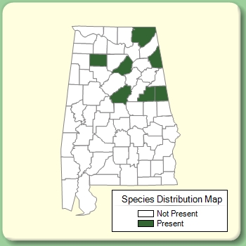 Species Distribution Map