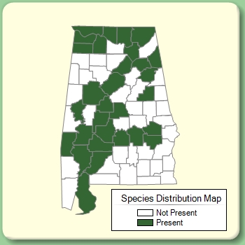 Species Distribution Map