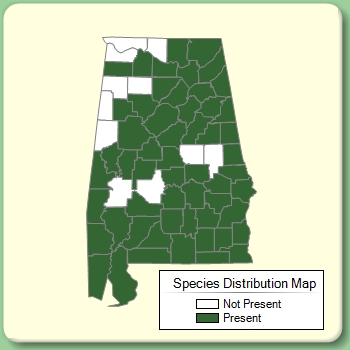 Species Distribution Map