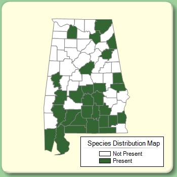 Species Distribution Map