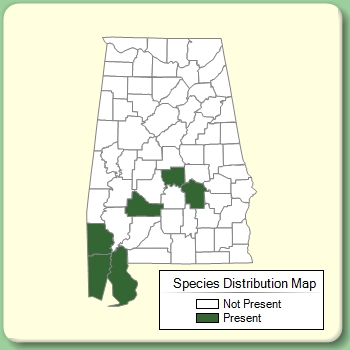 Species Distribution Map