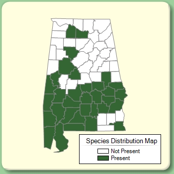 Species Distribution Map