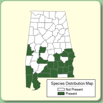 Species Distribution Map