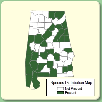 Species Distribution Map