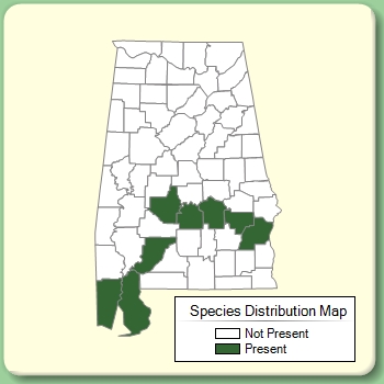 Species Distribution Map