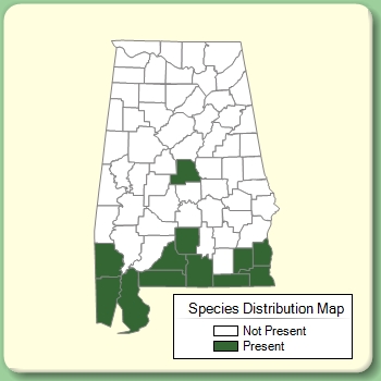 Species Distribution Map