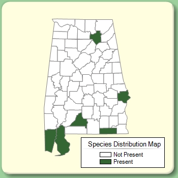 Species Distribution Map