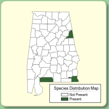 Species Distribution Map