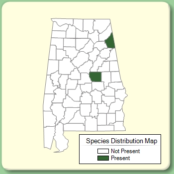 Species Distribution Map