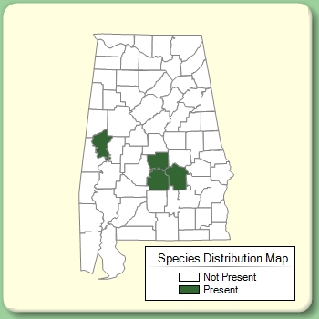 Species Distribution Map