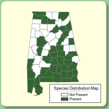 Species Distribution Map