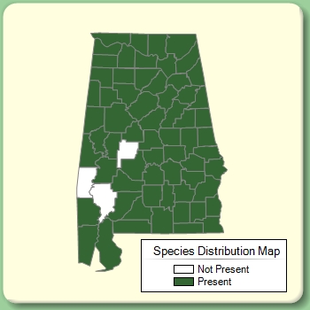 Species Distribution Map