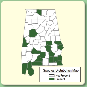 Species Distribution Map