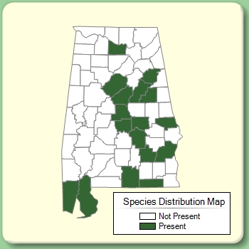 Species Distribution Map