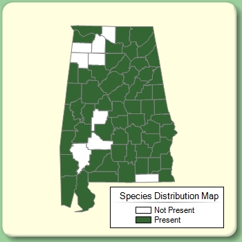 Species Distribution Map