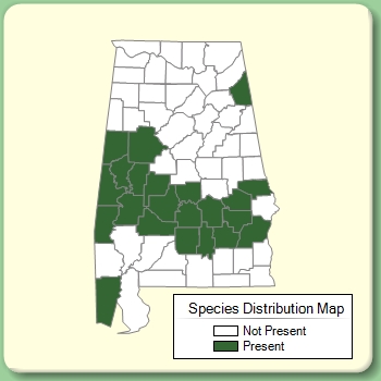 Species Distribution Map