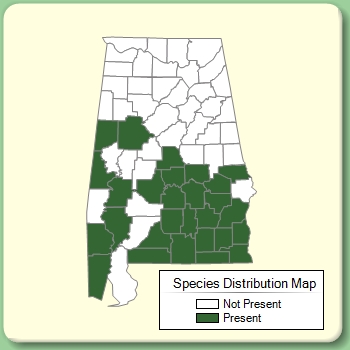 Species Distribution Map